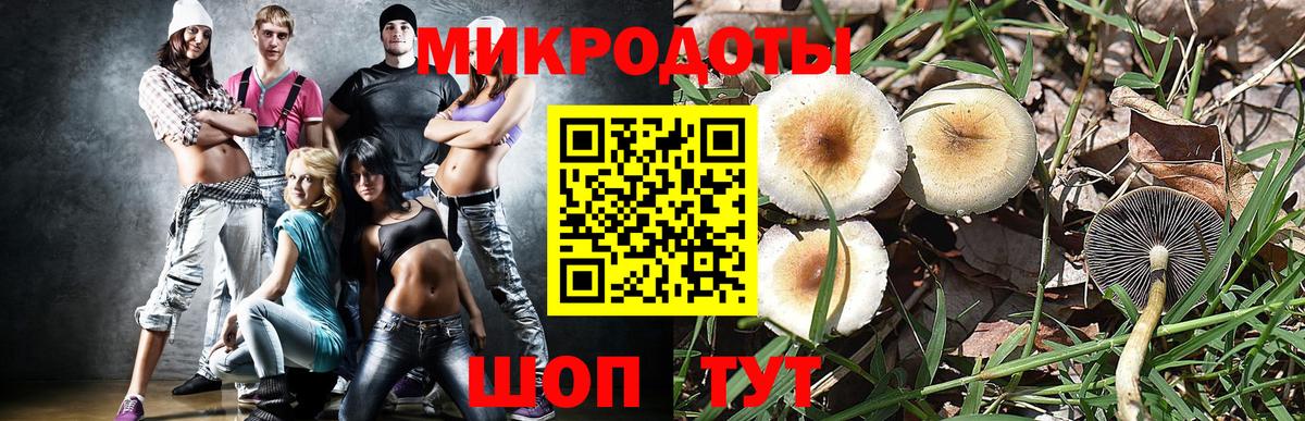купить наркотики сайты  Псилоцибиновые грибы ЛСД  Вход с VPN  Псилоцибиновые грибы Cubensis  Энгельс 