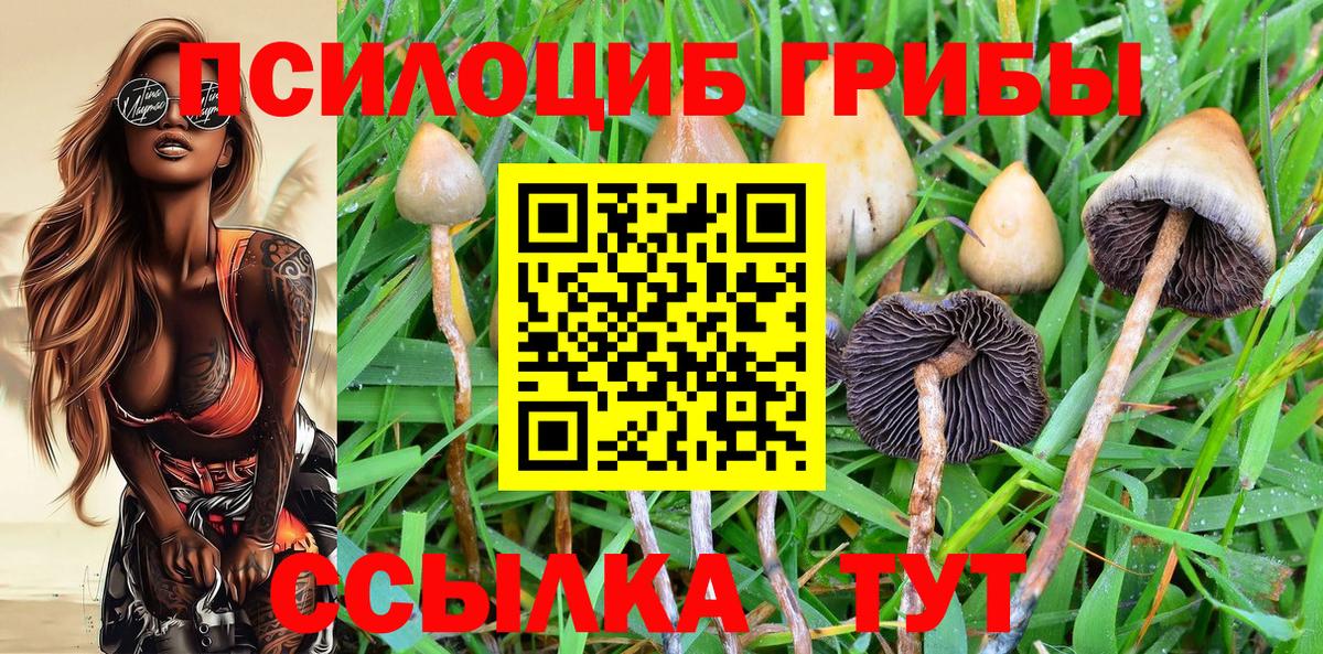 Галлюциногенные грибы ЛСД Энгельс